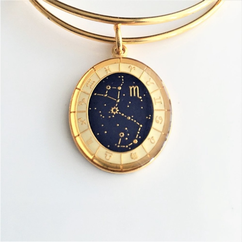 Alex and Ani Scorpio bracelet